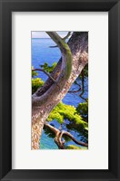 Framed Lavandou III