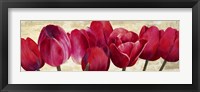 Framed Red Tulips