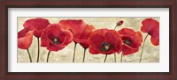 Framed Red Poppies