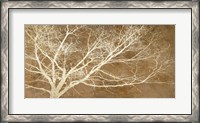 Framed Dream Tree