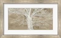 Framed White Oak