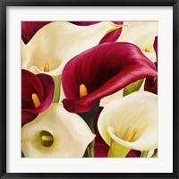 Framed Calla Composition (Detail)