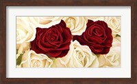 Framed Rose Composition