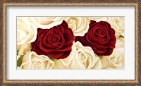 Framed Rose Composition
