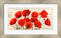 Framed French Poppies