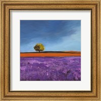 Framed Field of Lavender (Detail)