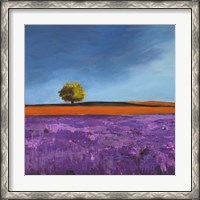 Framed Field of Lavender (Detail)