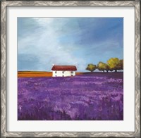 Framed Field of Lavender I