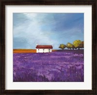 Framed Field of Lavender I