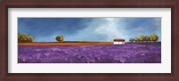 Framed Field of Lavender II