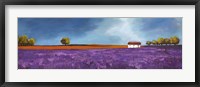 Framed Field of Lavender II