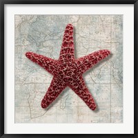 Framed Starfish