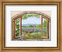 Framed Finestra in Provenza