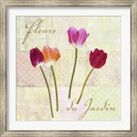 Framed Fleurs du Jardin