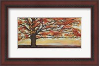 Framed Red Oak