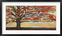 Framed Red Oak