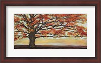 Framed Red Oak
