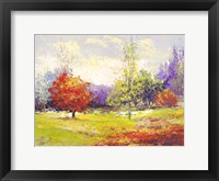 Framed Colori d'Autunno