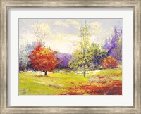 Framed Colori d'Autunno