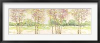 Bosco di Betulle II Framed Print