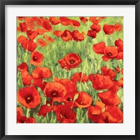 Framed Poppies