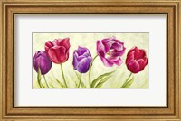 Framed Tulipani Danzanti