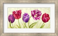 Framed Tulipani Danzanti