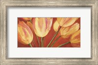 Framed Orange Tulips