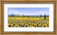 Framed Girasoli