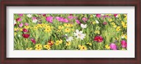 Framed Field of Flowers (Detail)