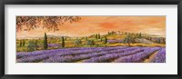 Framed Filari di Lavanda