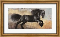 Framed Black Stallion