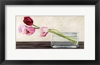 Framed Modern Composition, Tulips