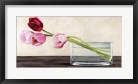 Framed Modern Composition, Tulips