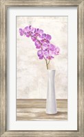 Framed Orchid Arrangement