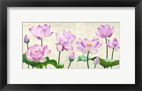 Framed Lotus Flowers