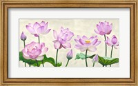 Framed Lotus Flowers