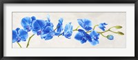 Framed Blue Orchid