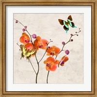 Framed Orchids & Butterflies I