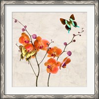 Framed Orchids & Butterflies I