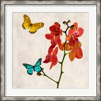 Framed Orchids & Butterflies II