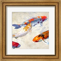 Framed Koi II