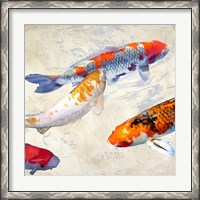 Framed Koi II