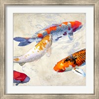 Framed Koi II