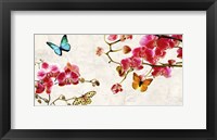 Framed Orchids & Butterflies