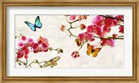 Framed Orchids & Butterflies