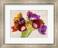 Framed Tulipani Danzanti