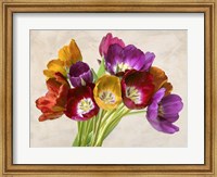 Framed Tulipani Danzanti