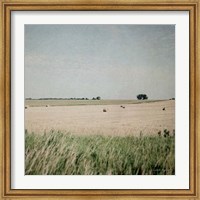 Framed Neutral Country II