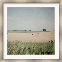 Framed Neutral Country II